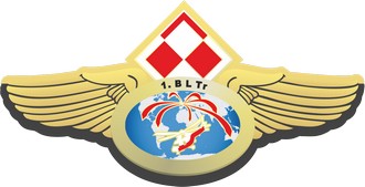 1 Baza Lotnictwa Transportowego