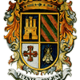 Alcaldia Del Ayuntamiento De Fuente Obejuna