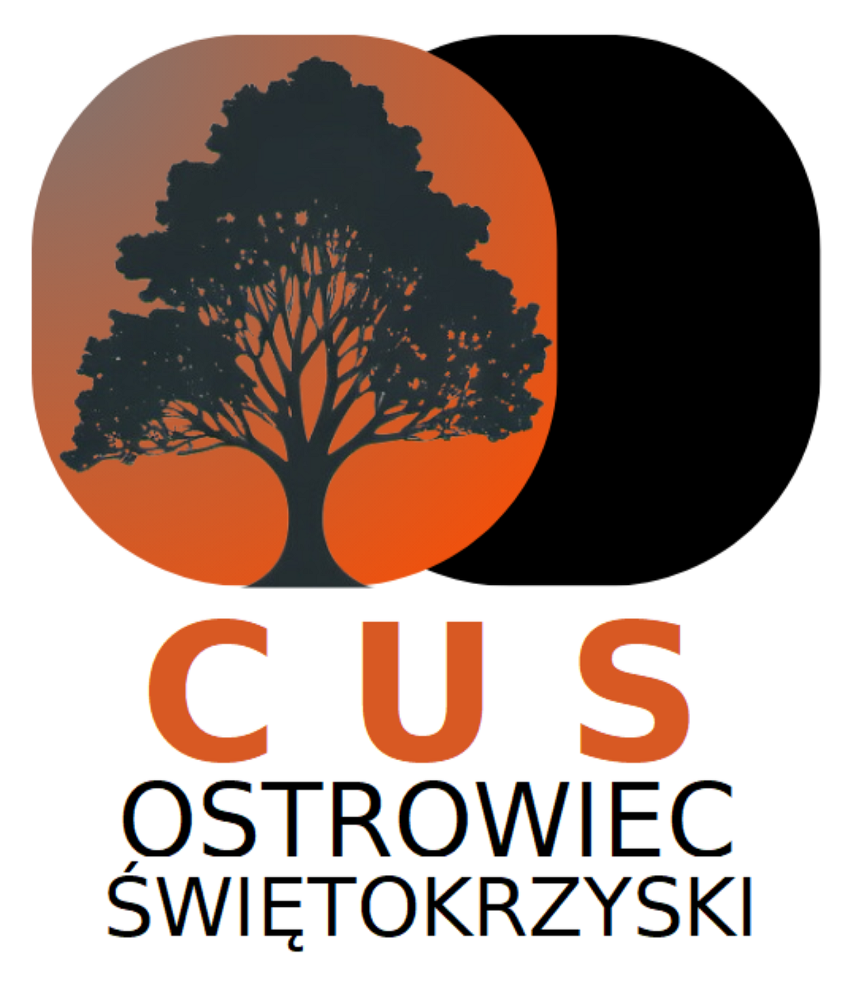 Centrum Usług Społecznych W Ostrowcu Świętokrzyskim