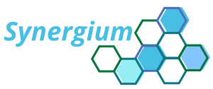 Fundacja Synergium