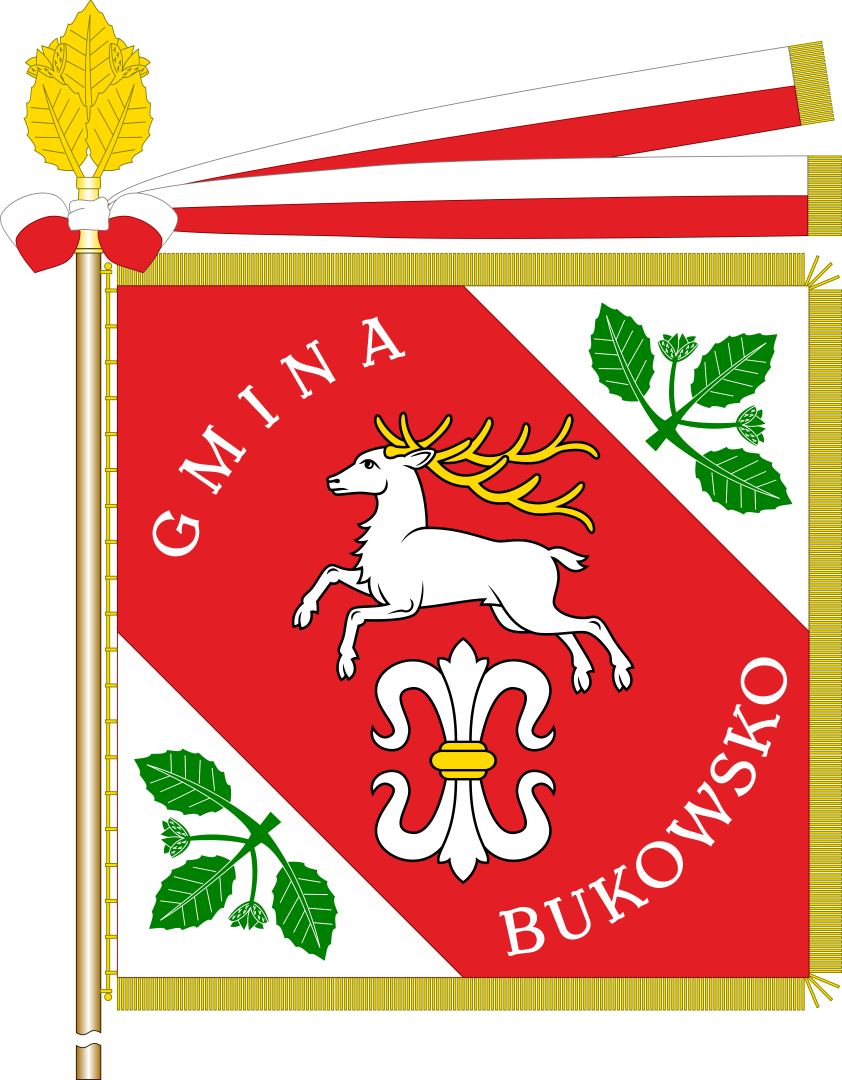 Gmina Bukowsko