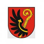 Gmina Miasto Wąbrzeźno