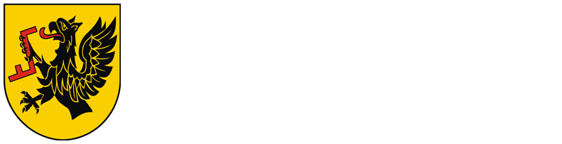 Gmina Studzienice
