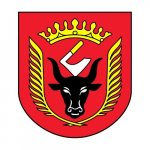 Gmina Wiskitki