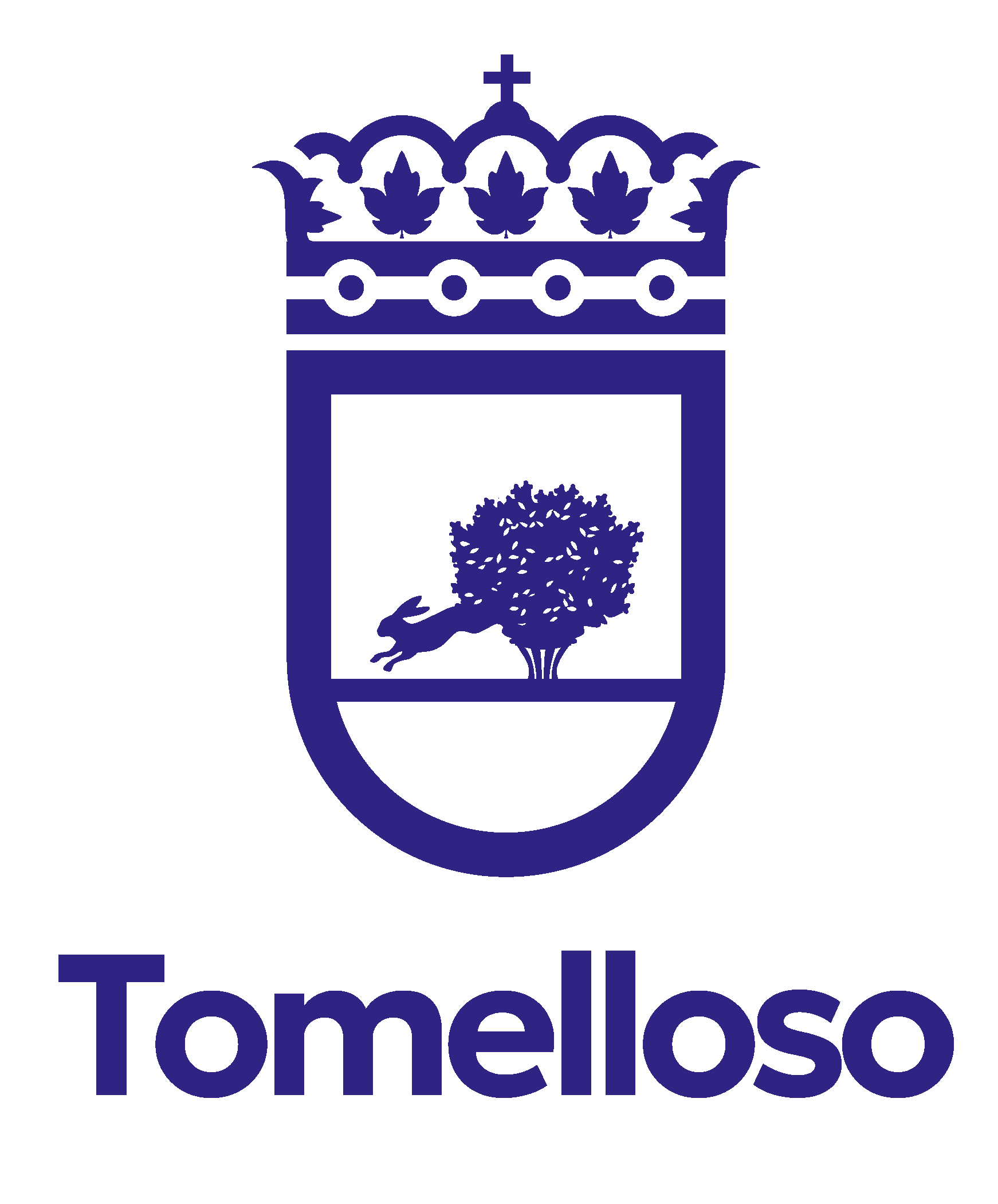 Junta De Gobierno Del Ayuntamiento De Tomelloso