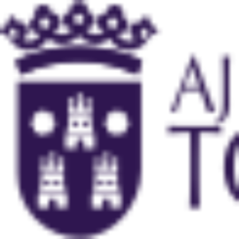 Junta De Gobierno Del Ayuntamiento De Torrent