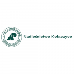 Nadleśnictwo Kołaczyce