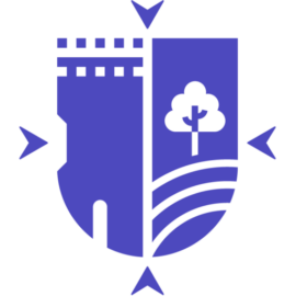 Pleno Del Ayuntamiento De Madridejos
