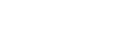 Polski Instytut Ekonomiczny