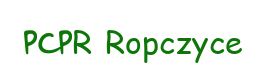 Powiatowe Centrum Pomocy Rodzinie W Ropczycach